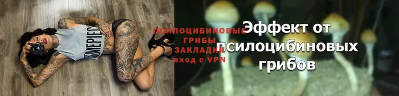 Галлюциногенные грибы Magic Shrooms  Белый 